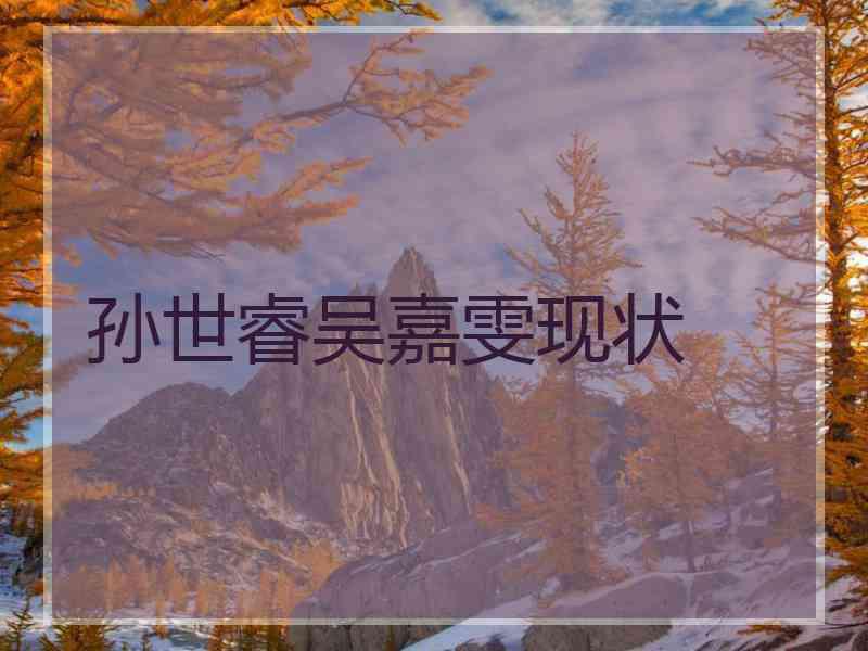 孙世睿吴嘉雯现状