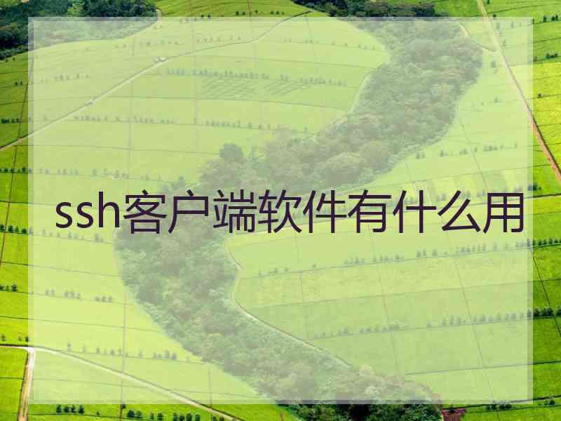 ssh客户端软件有什么用