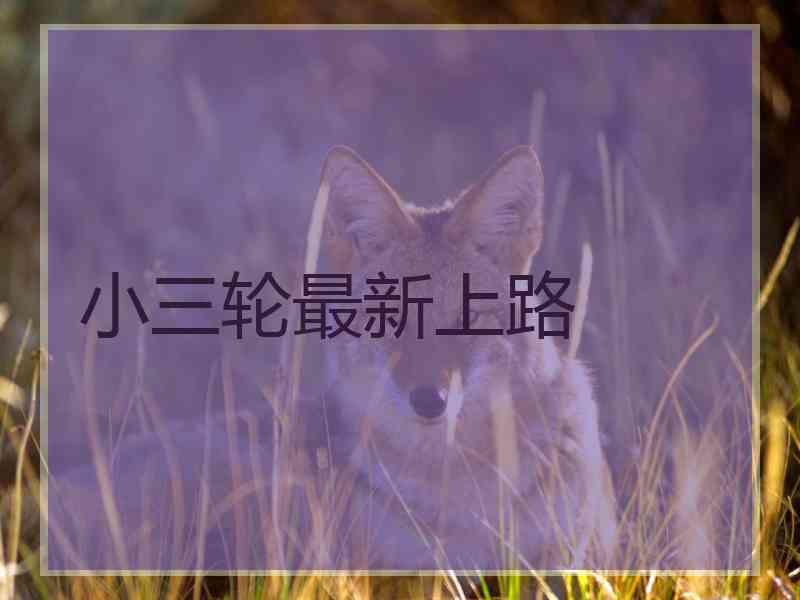 小三轮最新上路