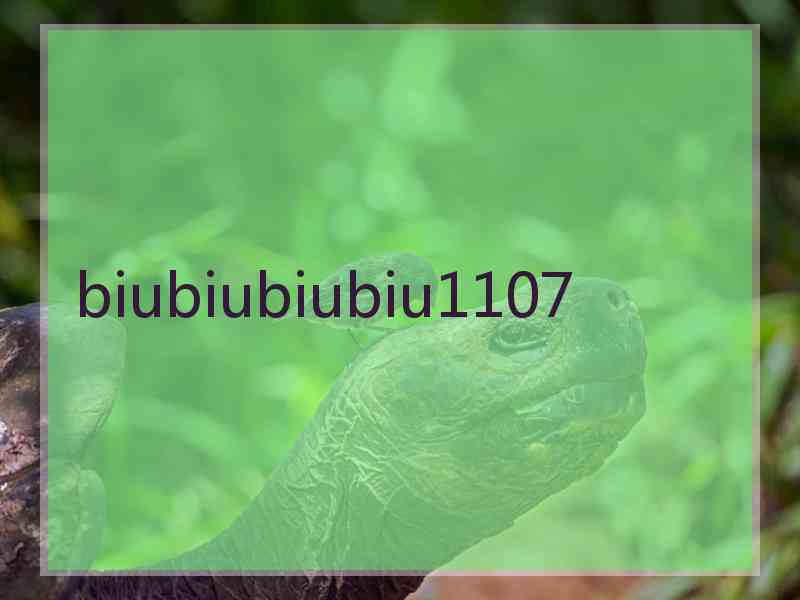 biubiubiubiu1107