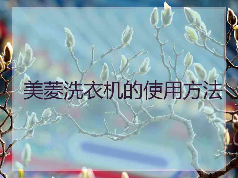 美菱洗衣机的使用方法