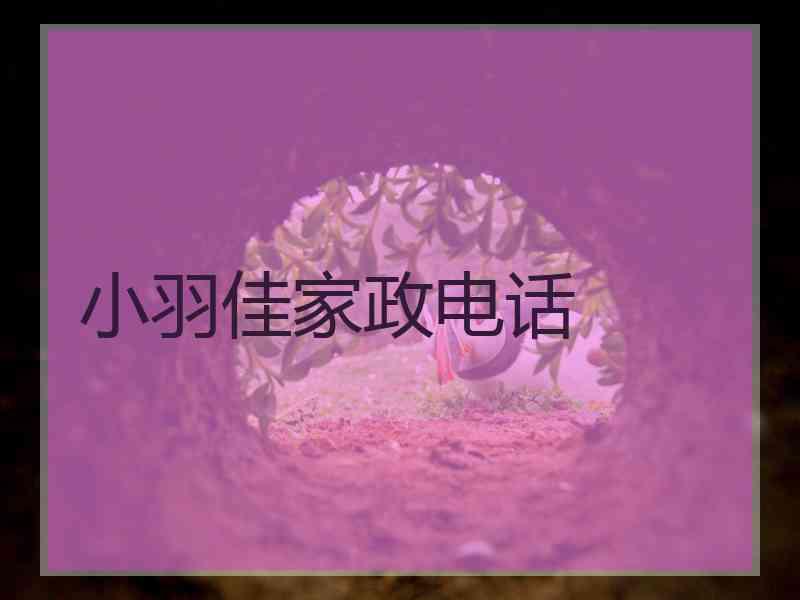 小羽佳家政电话