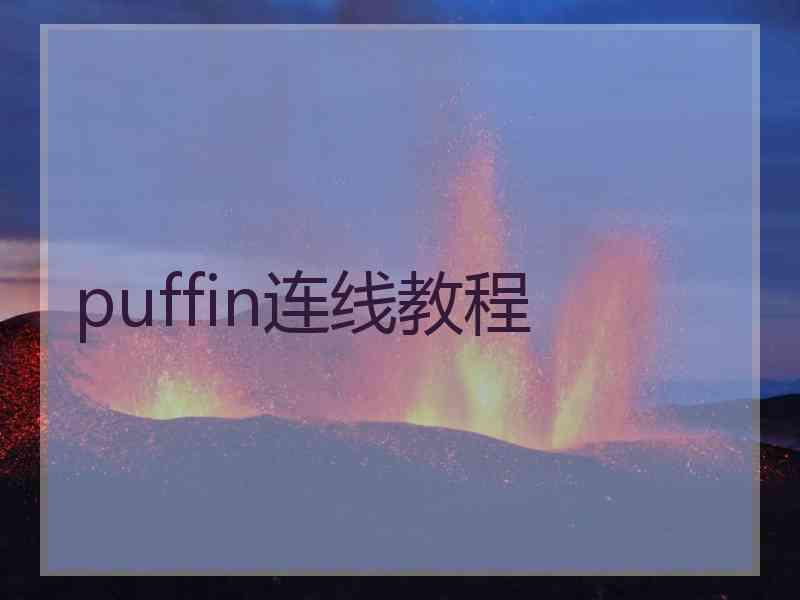 puffin连线教程