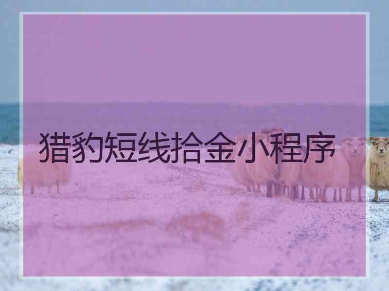 猎豹短线拾金小程序