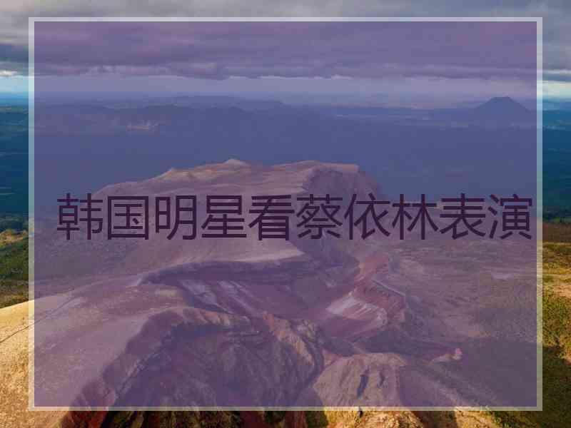 韩国明星看蔡依林表演