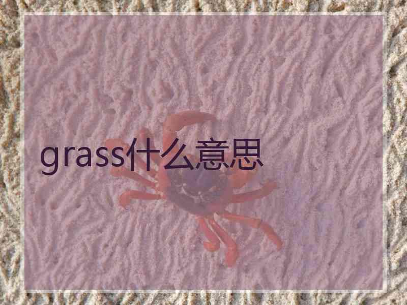 grass什么意思