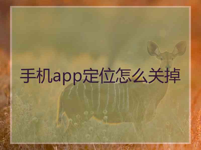 手机app定位怎么关掉
