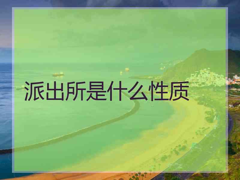 派出所是什么性质
