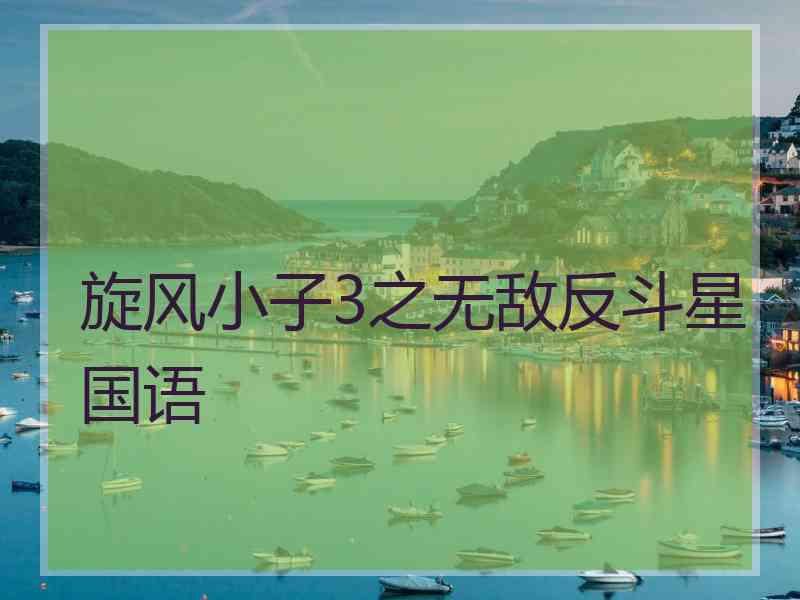 旋风小子3之无敌反斗星国语