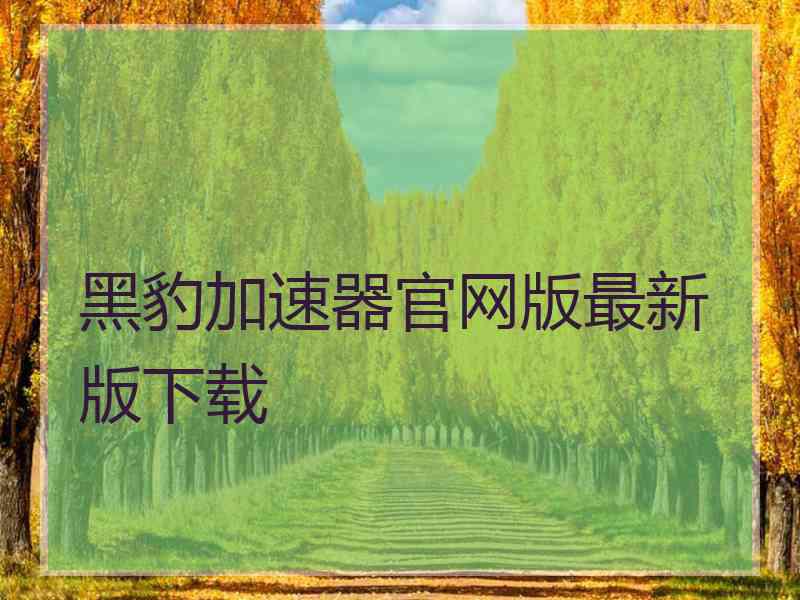 黑豹加速器官网版最新版下载