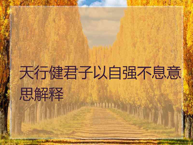 天行健君子以自强不息意思解释
