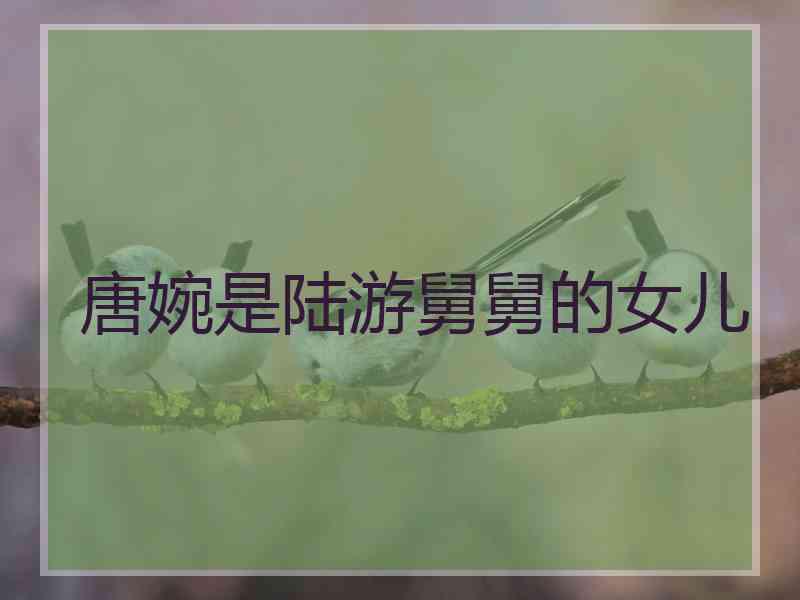 唐婉是陆游舅舅的女儿