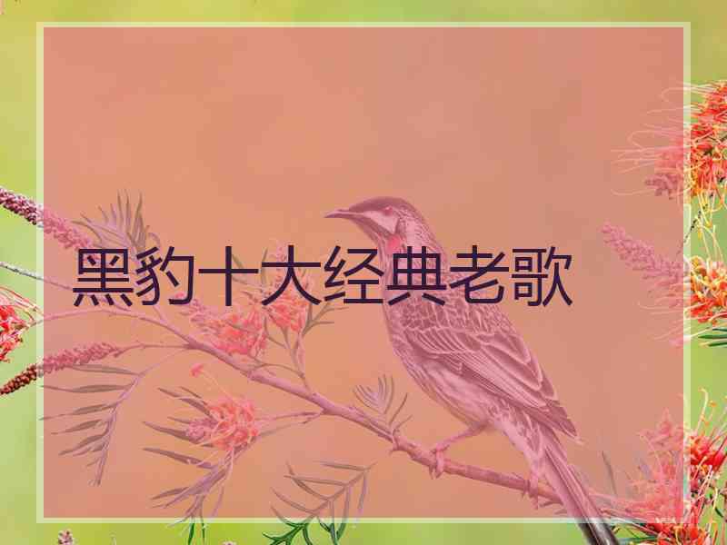 黑豹十大经典老歌
