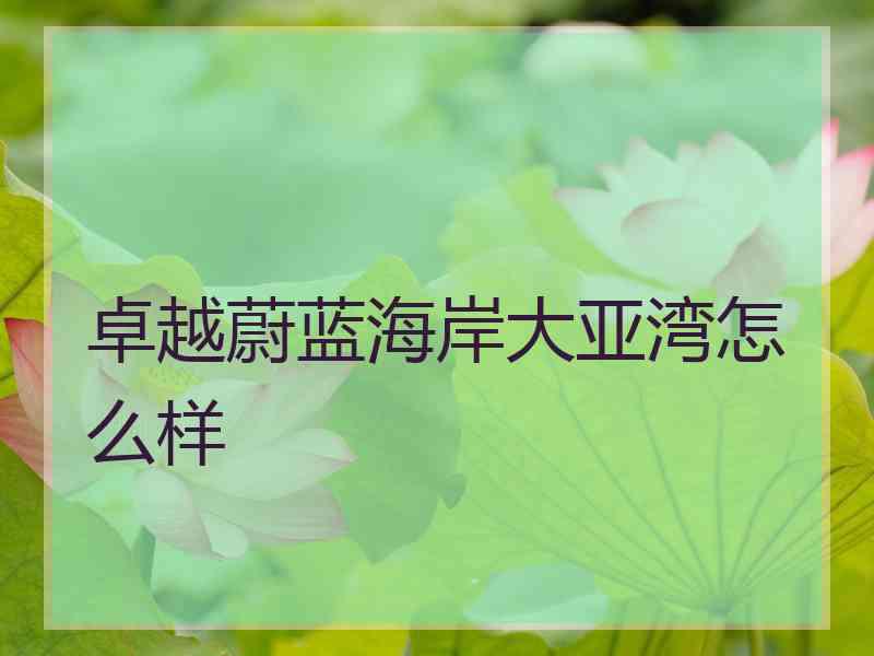 卓越蔚蓝海岸大亚湾怎么样