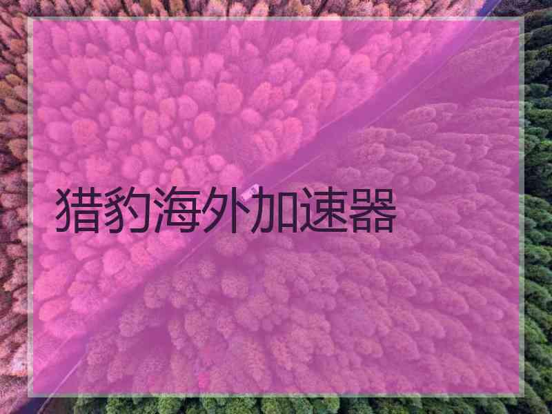 猎豹海外加速器