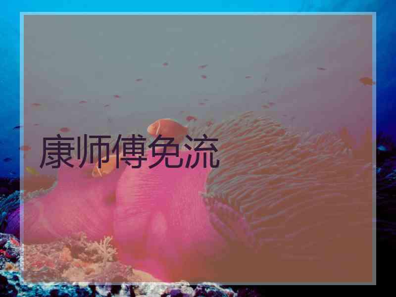康师傅免流