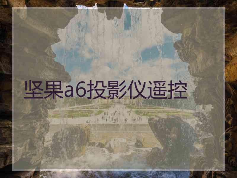坚果a6投影仪遥控