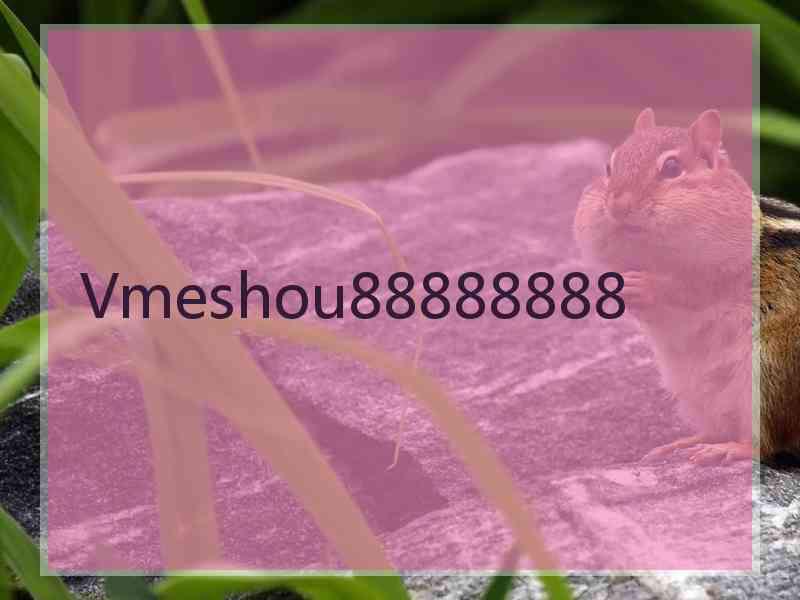 Vmeshou88888888