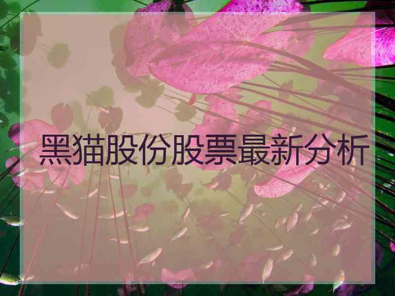 黑猫股份股票最新分析