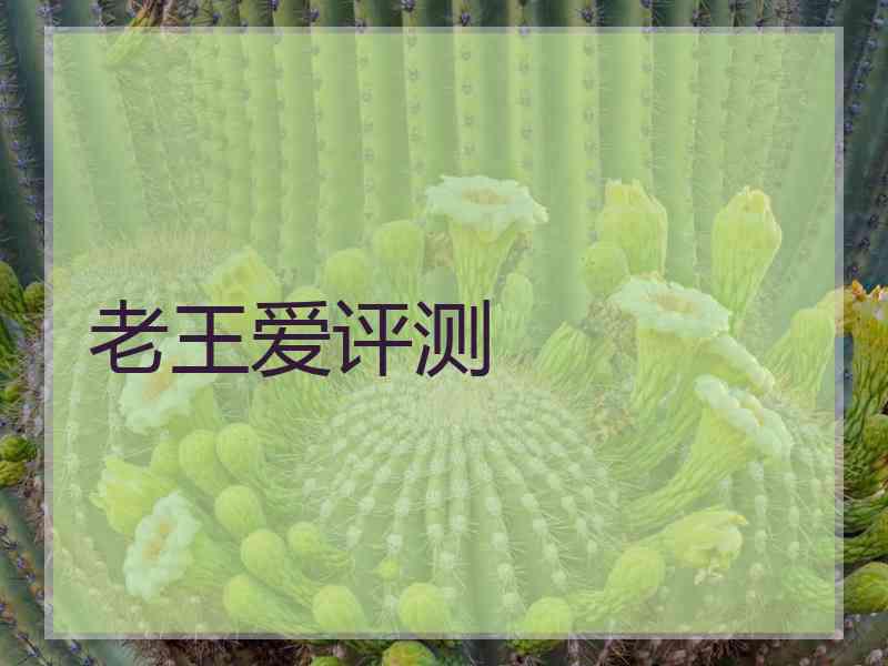 老王爱评测