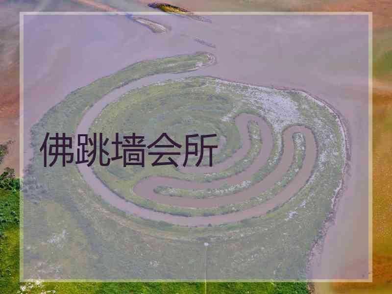 佛跳墙会所