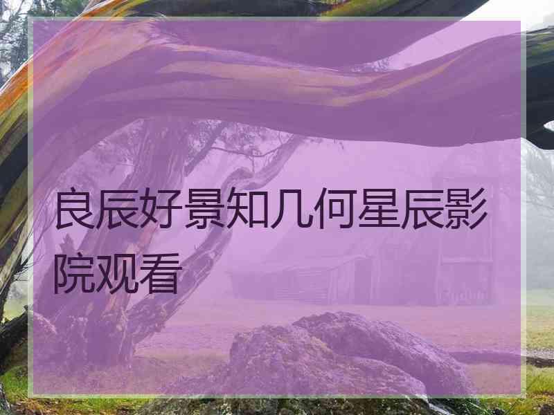 良辰好景知几何星辰影院观看