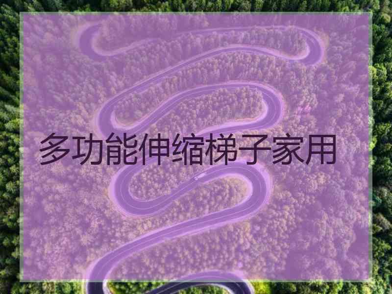 多功能伸缩梯子家用