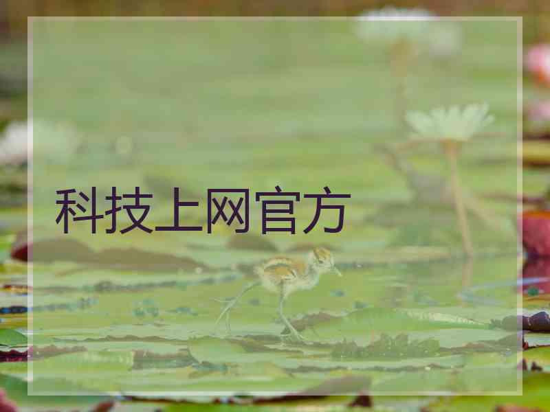 科技上网官方