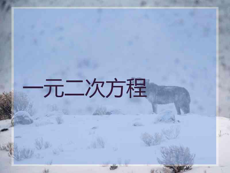 一元二次方程