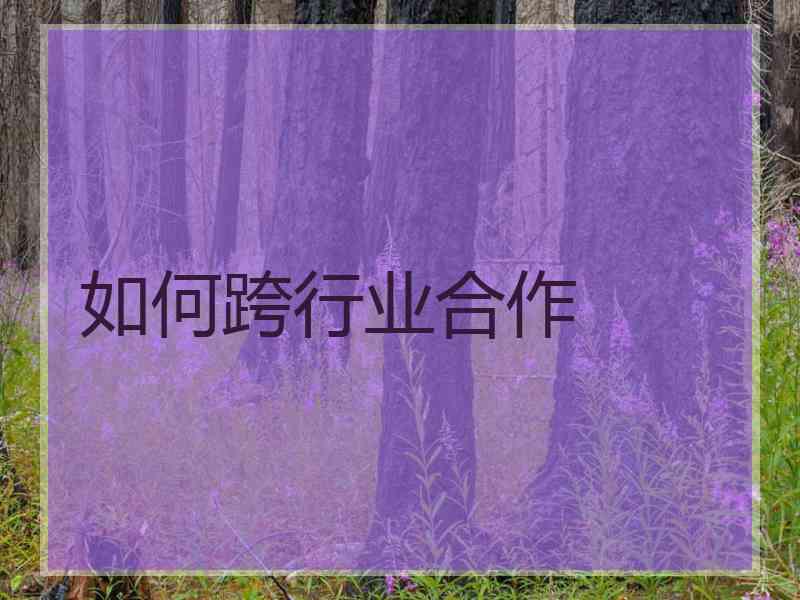 如何跨行业合作