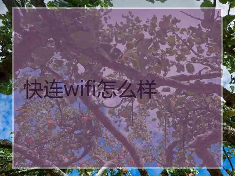 快连wifi怎么样
