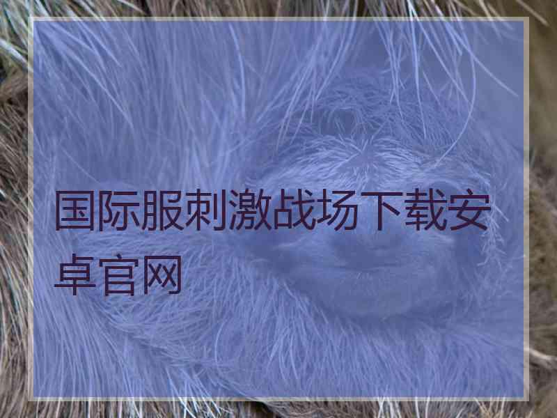 国际服刺激战场下载安卓官网