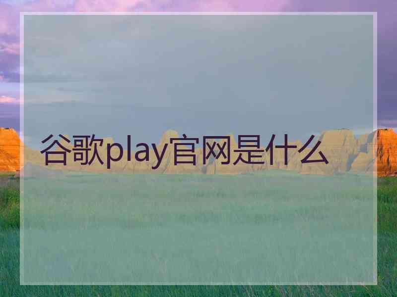 谷歌play官网是什么