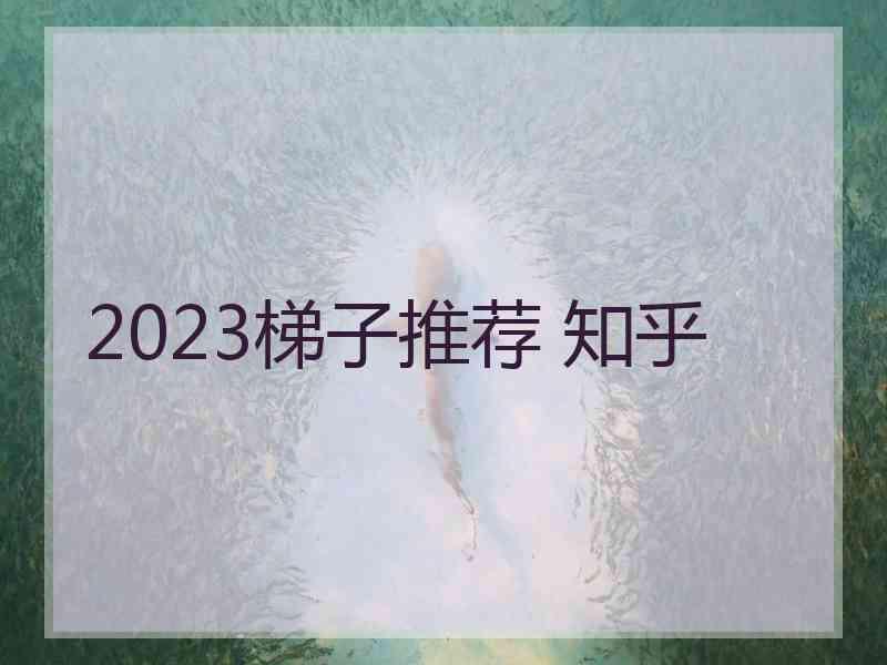 2023梯子推荐 知乎