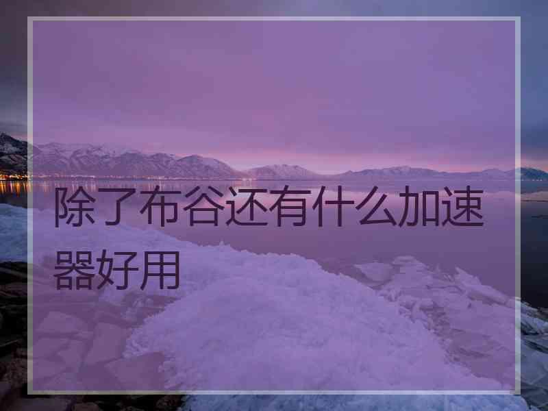 除了布谷还有什么加速器好用