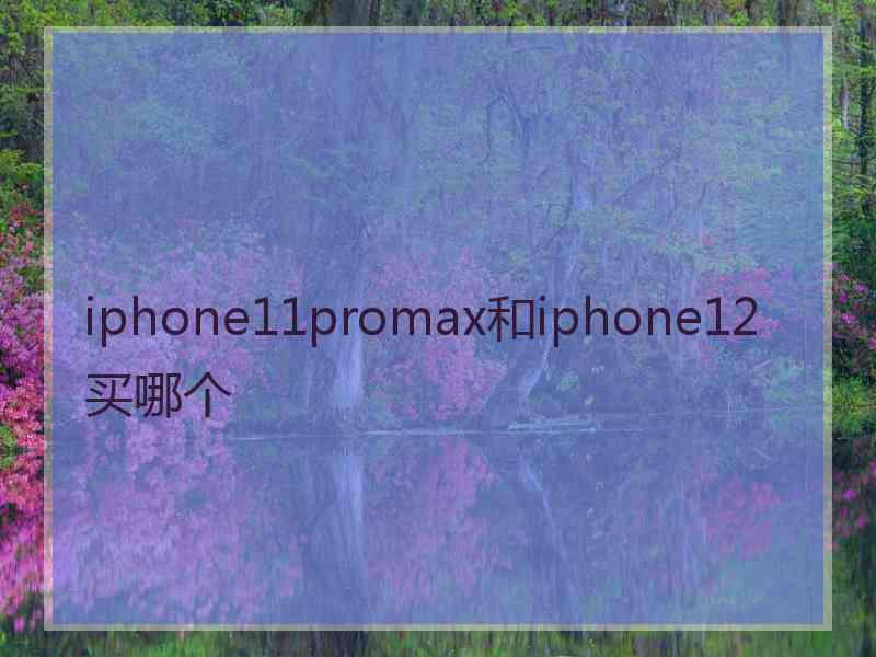 iphone11promax和iphone12买哪个