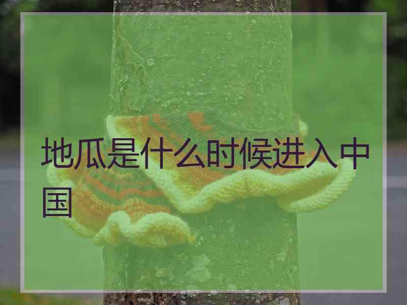 地瓜是什么时候进入中国