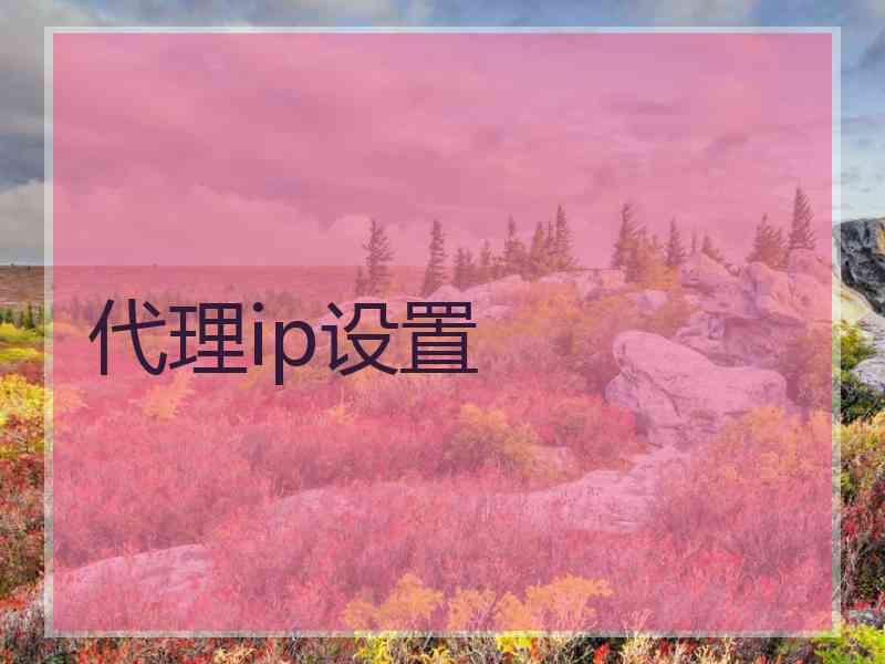 代理ip设置