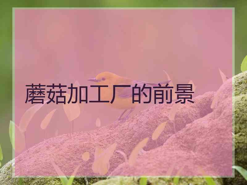 蘑菇加工厂的前景