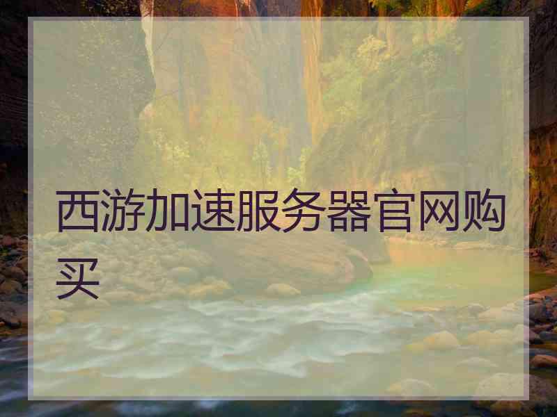 西游加速服务器官网购买