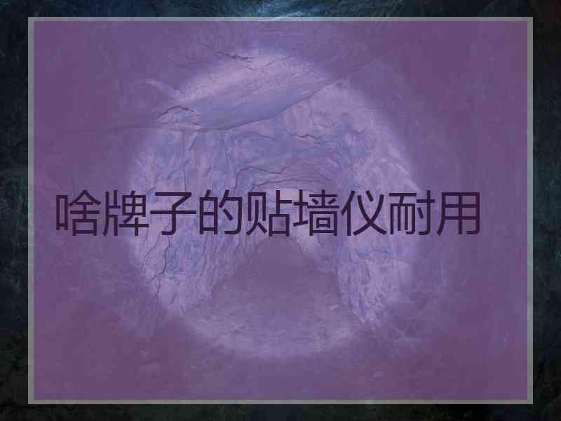 啥牌子的贴墙仪耐用