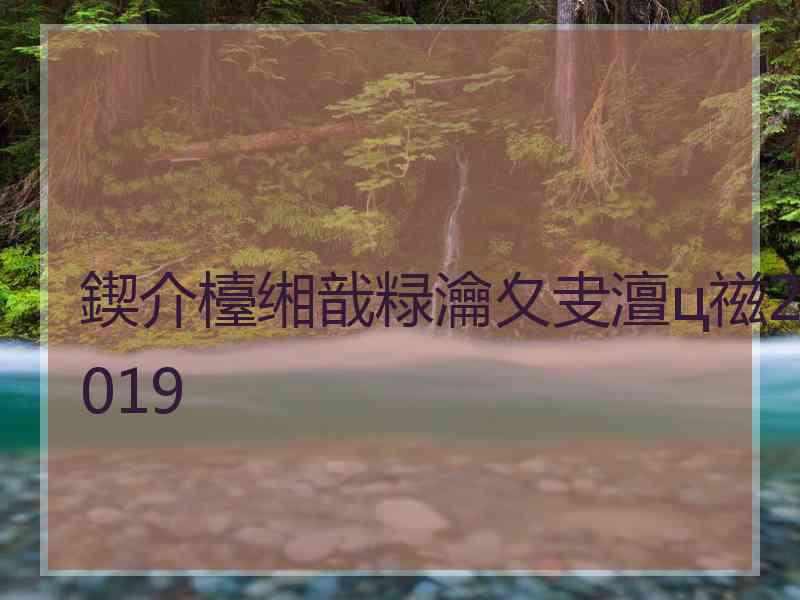 鍥介檯缃戠粶瀹夊叏澶ц禌2019