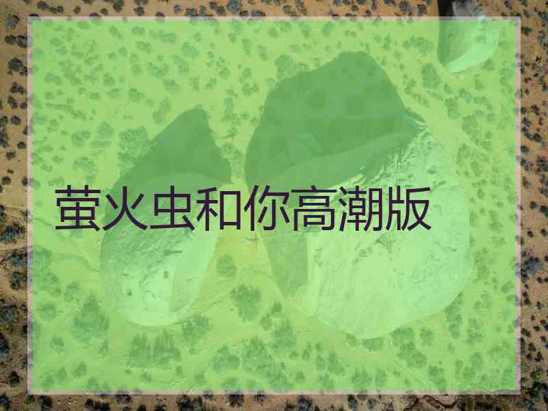 萤火虫和你高潮版