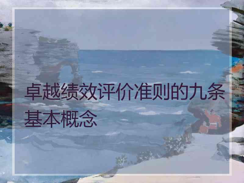 卓越绩效评价准则的九条基本概念