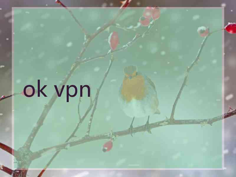 ok vpn