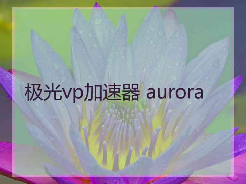 极光vp加速器 aurora
