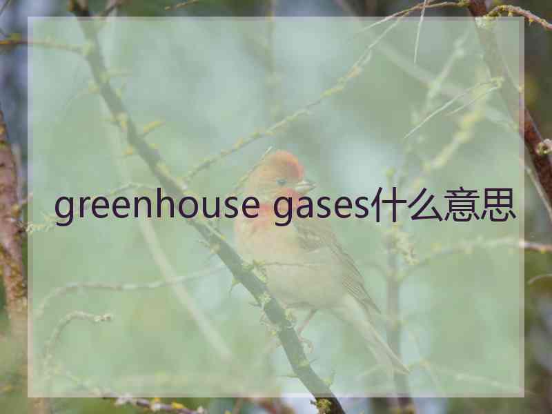 greenhouse gases什么意思