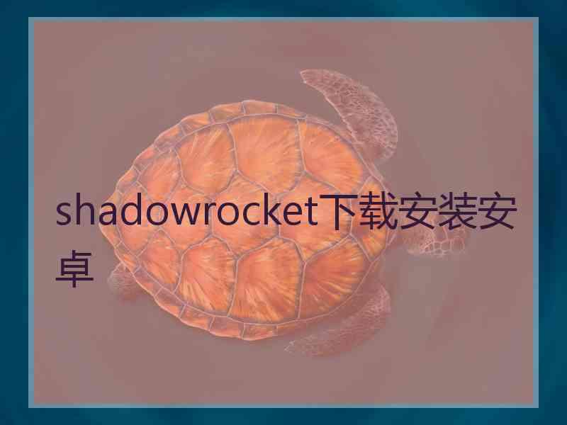 shadowrocket下载安装安卓