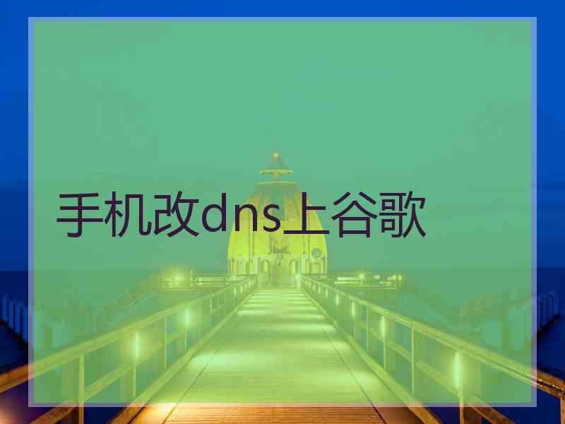 手机改dns上谷歌