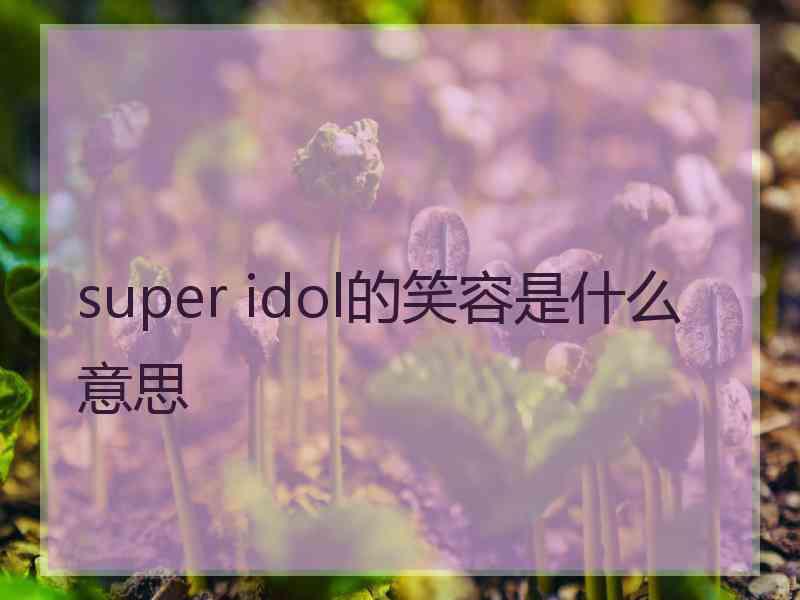 super idol的笑容是什么意思
